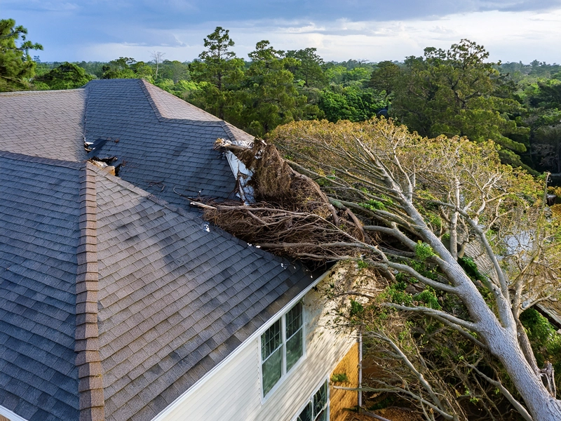 ARG Roofing - Emergency services for roof that has sustained damage from downed tree